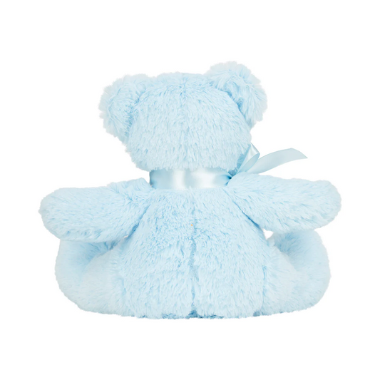 Blue Teddy Bear