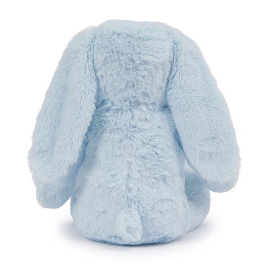 Blue Bunny Teddy