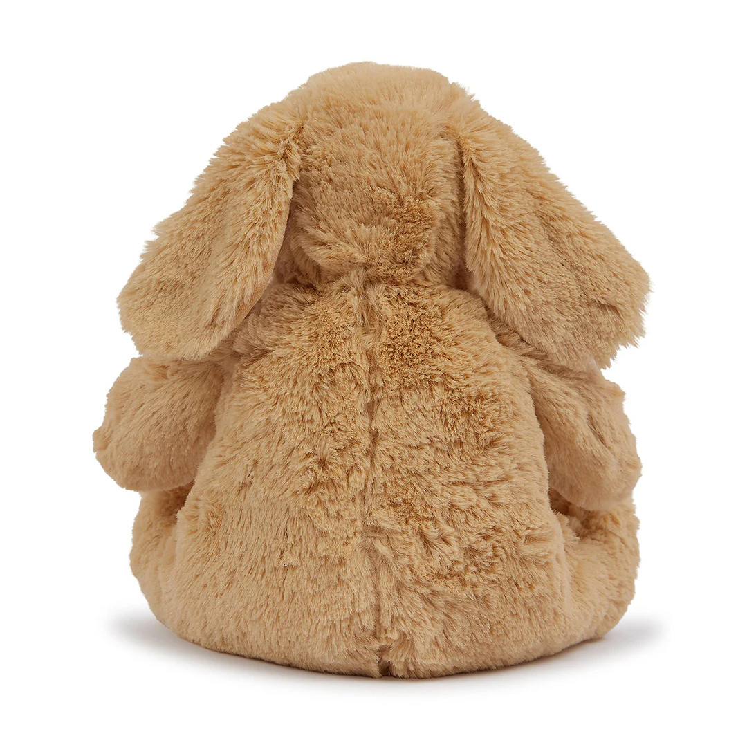 Brown Dog Teddy