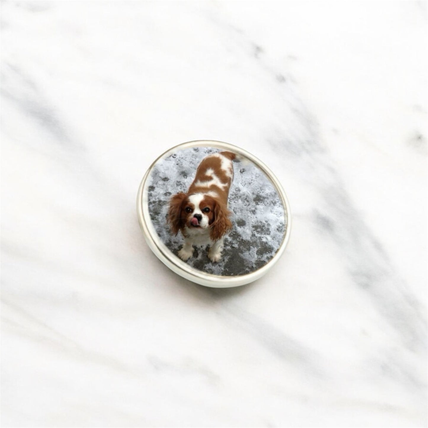Silver Round Badge