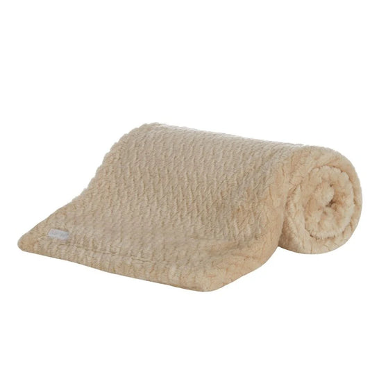 Textured Plush Blanket