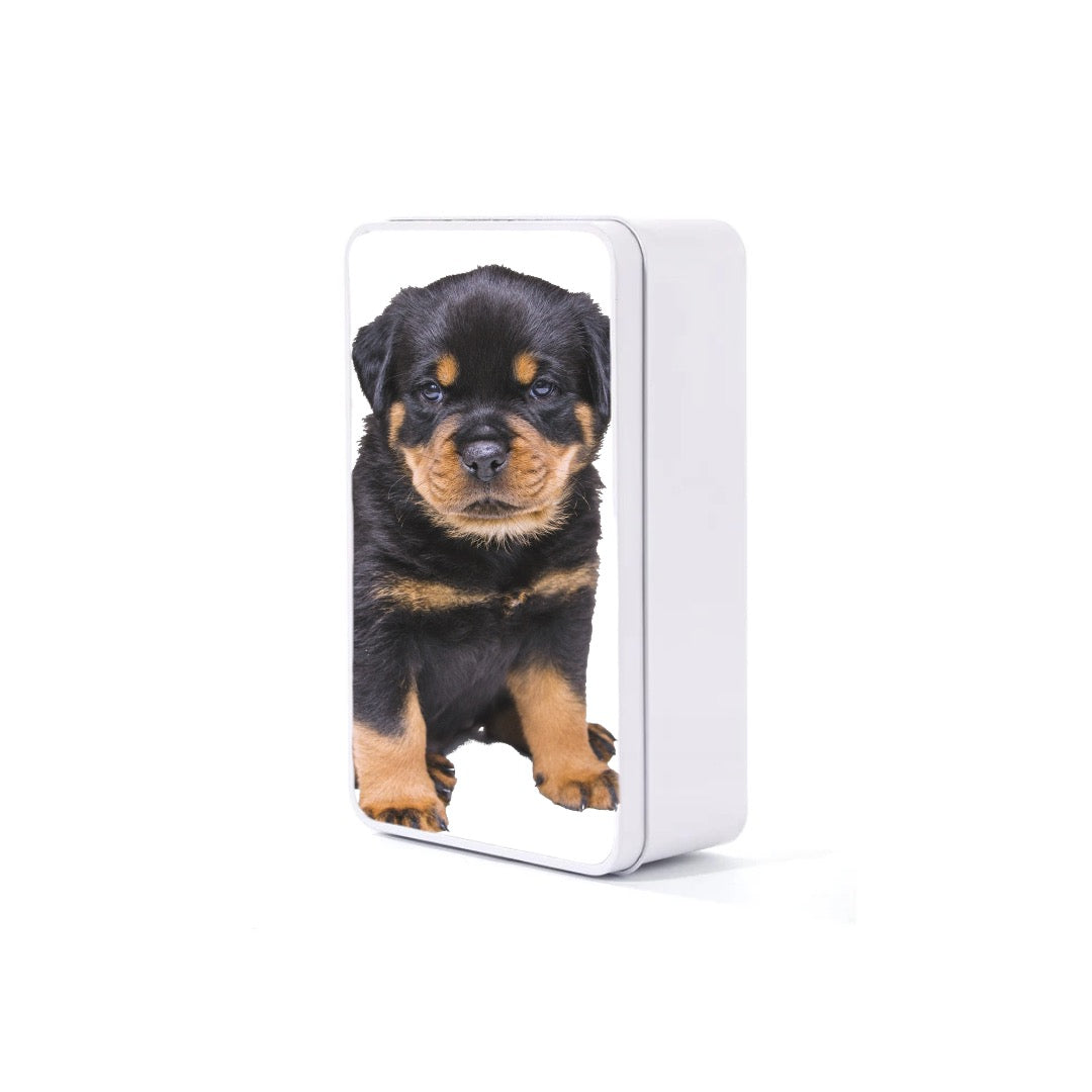 White Metal Rectangle Tin